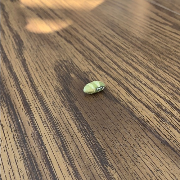 Other - This is my bean